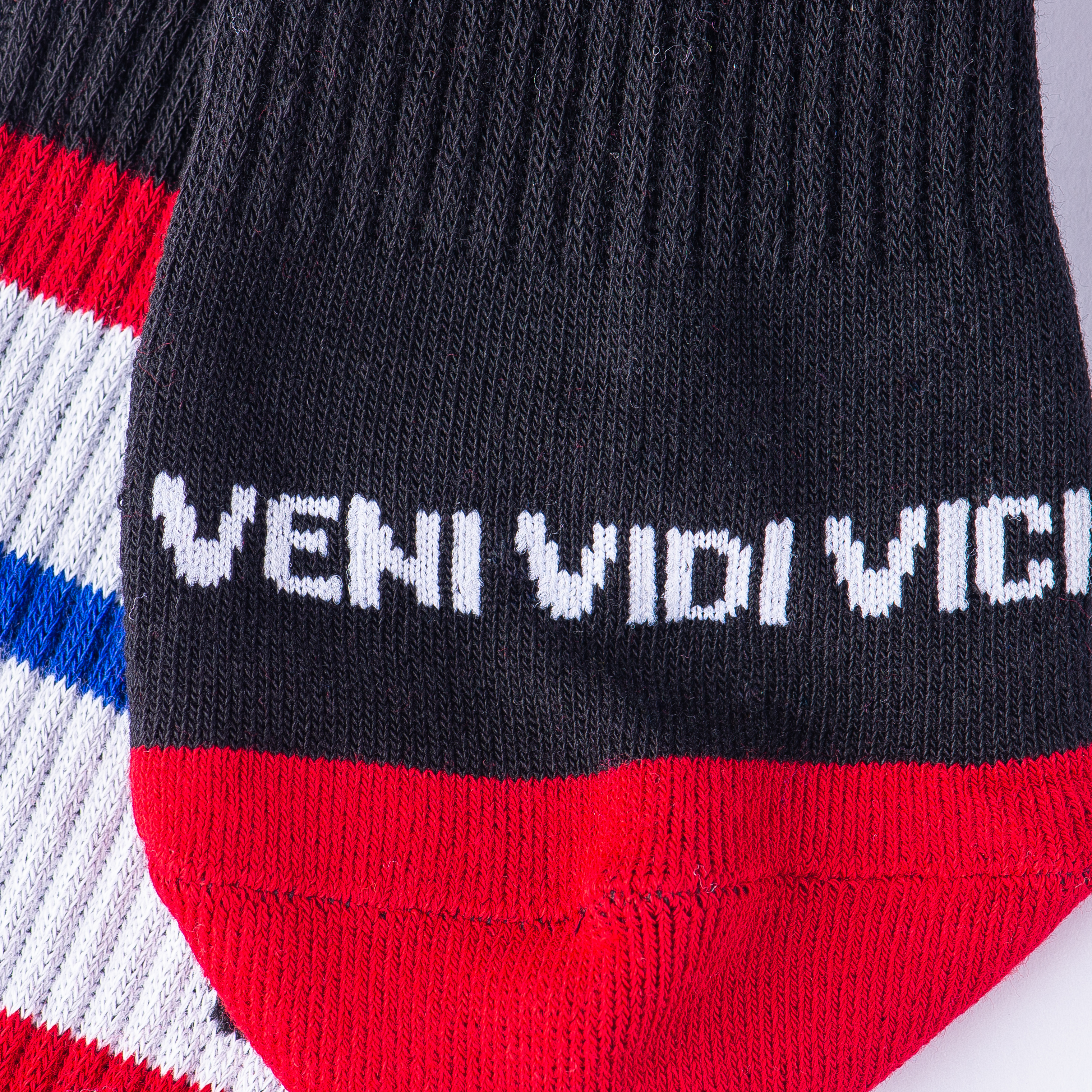 VENI VIDI VICI 2